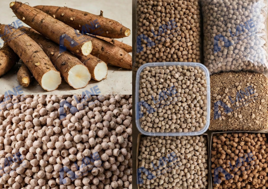Cassava Cat Litter Production Line: Practical Issues Manufacturers Care About Most