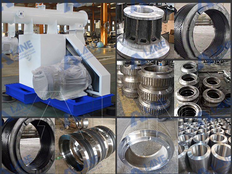 1 t/h cat litter production line project in Uzbekistan