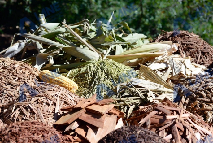 Cat Litter Production From Organic Waste: Integrated Equipment Solutions For Sustainable Manufacturing