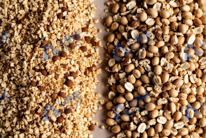 Tofu Cat Litter Production From Soybean Residue: Process Design and Equipment Integration