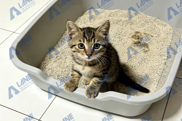 Straw Cat Litter Universal Granulation Machinery