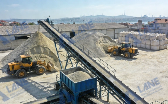 How to Choose a Cost-Effective Cat Litter Production Line: A Practical Guide for New Investors and Manufacturers